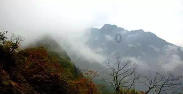 拯救小犀牛